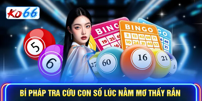 Bí pháp tra cứu con số lúc nằm mơ thấy rắn