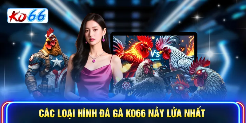 Các loại hình Đá gà KO66 nảy lửa nhất