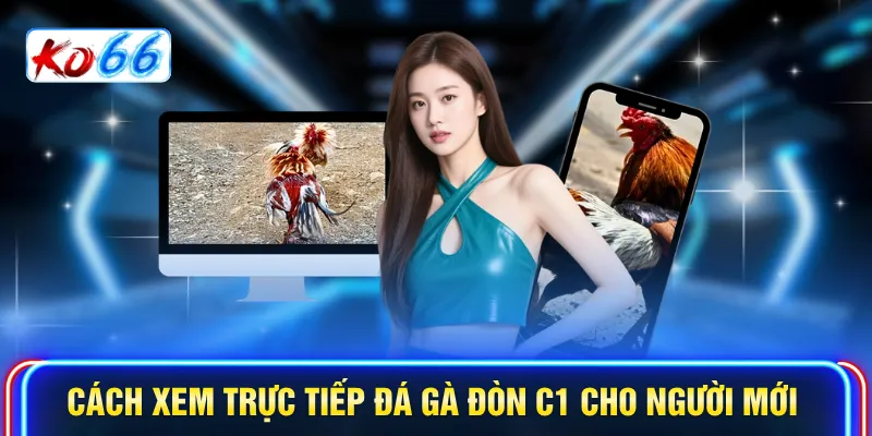 Cách xem Trực tiếp đá gà đòn C1 cho người mới