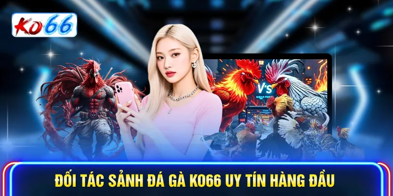 Đối tác sảnh Đá gà KO66 uy tín hàng đầu