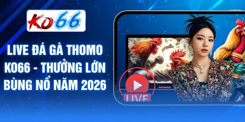 Live đá gà Thomo