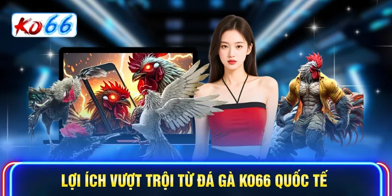 Lợi ích vượt trội từ Đá gà KO66 quốc tế