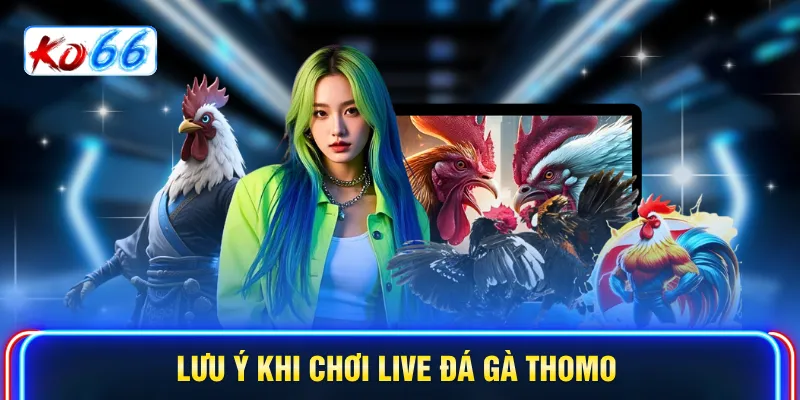 Lưu ý khi chơi Live đá gà Thomo