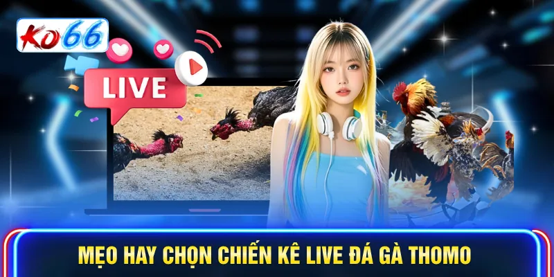 Mẹo hay chọn chiến kê Live đá gà Thomo
