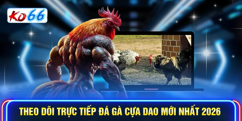 Theo dõi Trực tiếp đá gà cựa dao mới nhất 2026