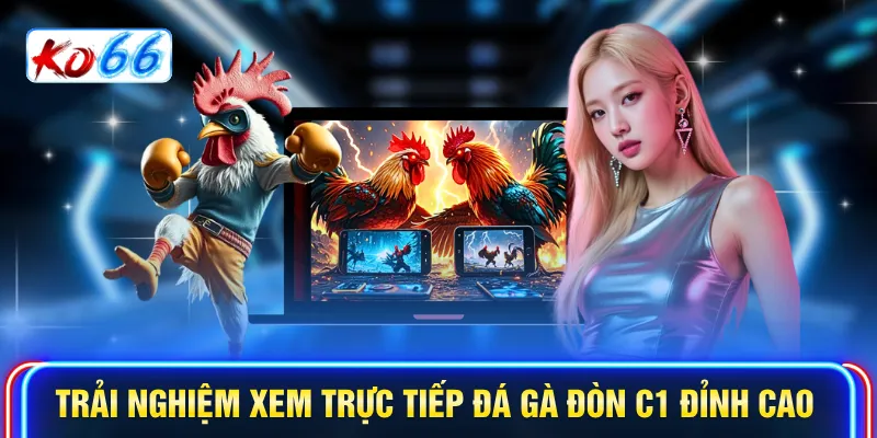 Trải nghiệm xem Trực tiếp đá gà đòn C1 đỉnh cao