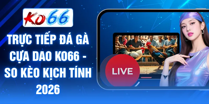 Trực tiếp đá gà cựa dao