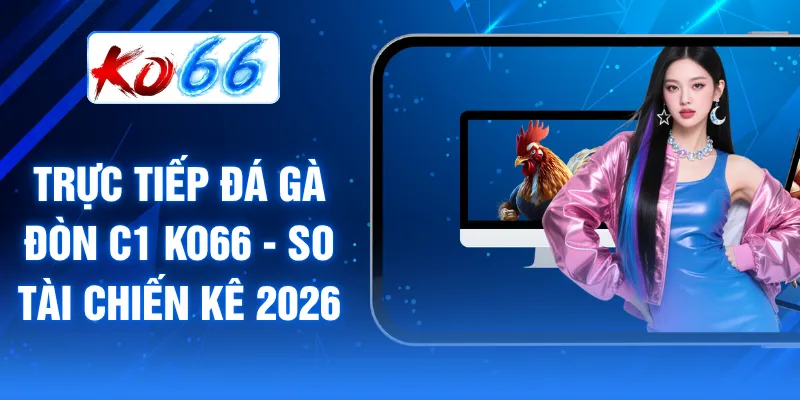 Trực tiếp đá gà đòn C1