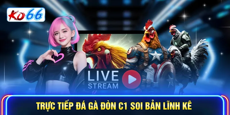 Trực tiếp đá gà đòn C1 soi bản lĩnh kê
